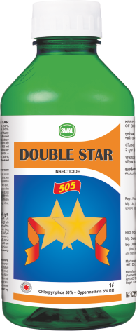 DOUBLE STAR